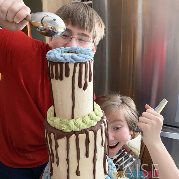 18 Layer Cake Gluten Free Vegan by The Allergy Chef