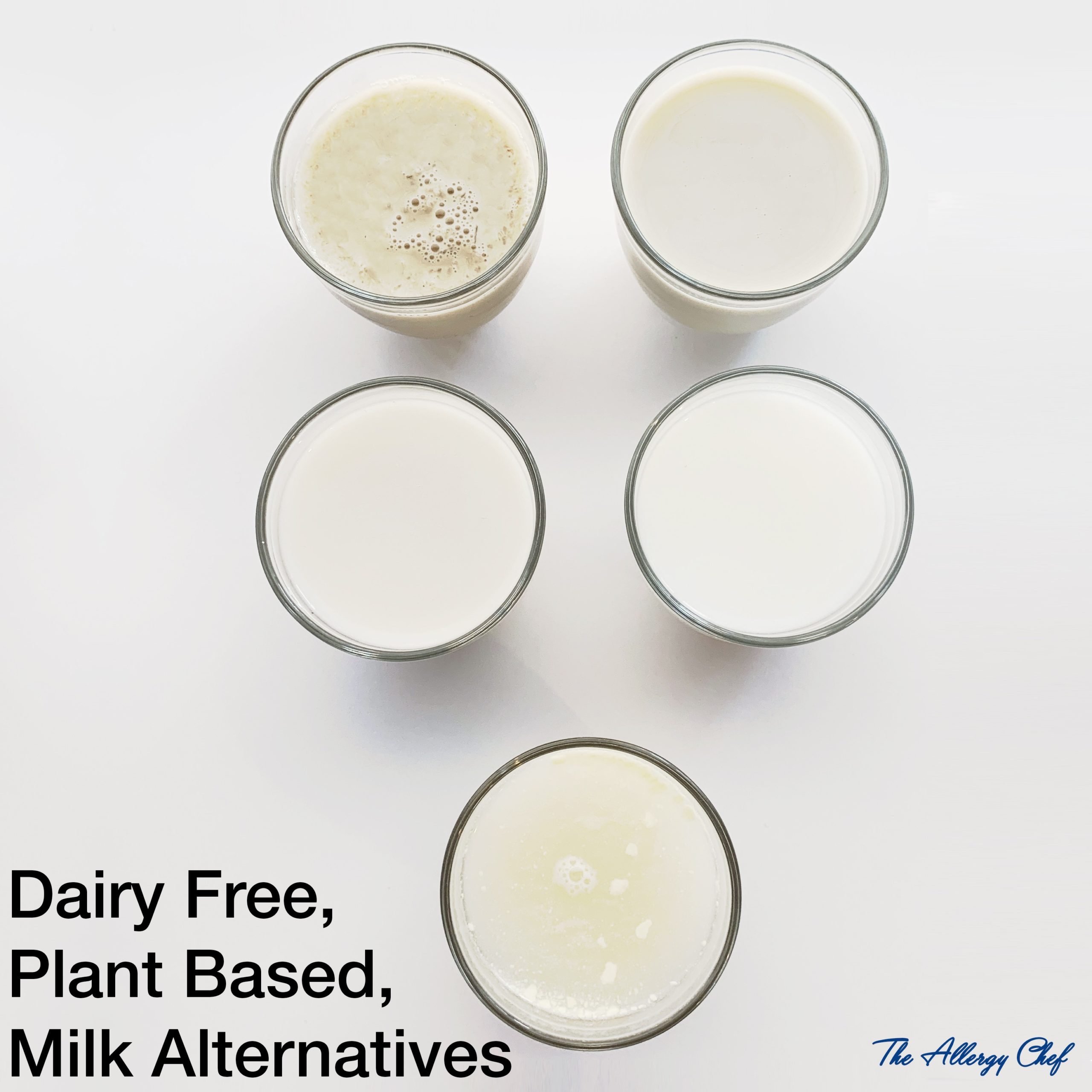 Plant Based Dairy Free Milk Top 8 Free Reviews - RAISE Platform