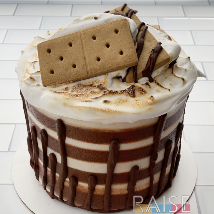 Gluten Free, Vegan, Top 8 Allergy Free S'more Cake by The Allergy Chef