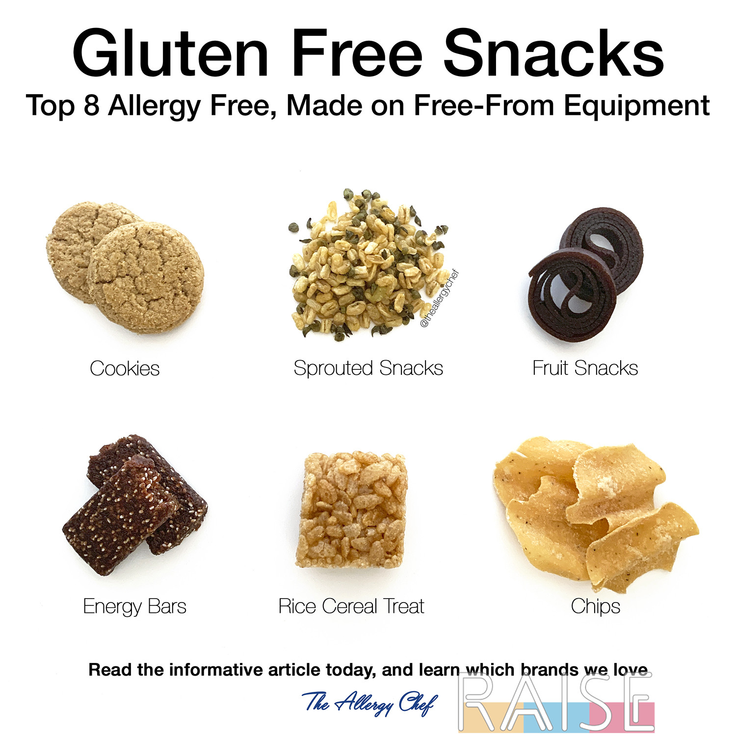 Top 8 Allergen Free Snacks : Savory & Sweet - MI Gluten Free Gal