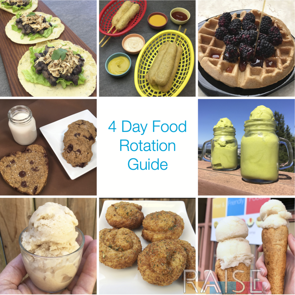 4-day-rotation-diet-template-rotation-diet-meal-plan