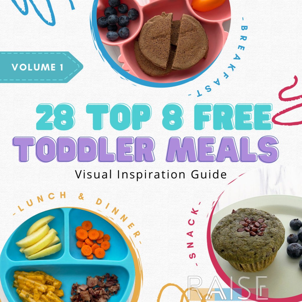Gluten Free Top 8 Allergy Free Toddler Meal Inspiration by The Allergy Chef
