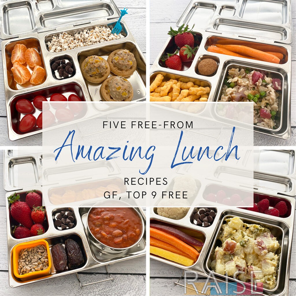 Five Gluten Free Allergy Friendly Lunch Recipes by The Allergy Chef